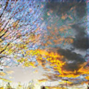 Meet your Posher, Summer